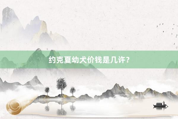 约克夏幼犬价钱是几许？