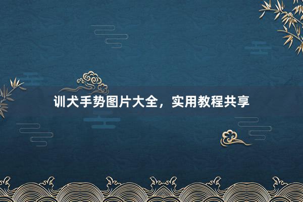 训犬手势图片大全,实用教程共享