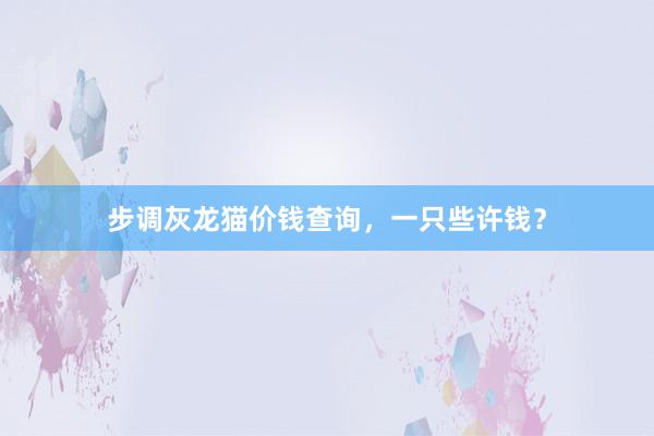 步调灰龙猫价钱查询，一只些许钱？